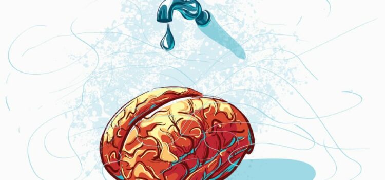 image of a brain receiving drops of water from a stream as a representation of the need for water in the brain