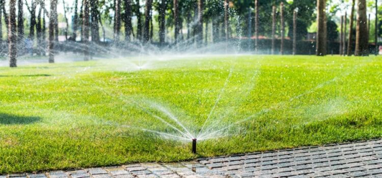 Lawn sprinkler in action, representing potential water waste that can be reduced with Houston water treatment specialists.